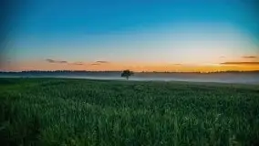 Wiosenne mgły nad polami Mazur w okolicy Pozezdrza - zdjęcie 1