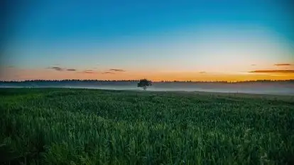 Wiosenne mgły nad polami Mazur w okolicy Pozezdrza