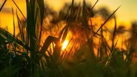 Zachody słońca nad Sztynortem, czerwiec 2021 - zdjęcie 7