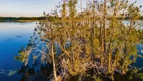 Jezioro Kirsajty o zachodzie słońca - zdjęcie 26