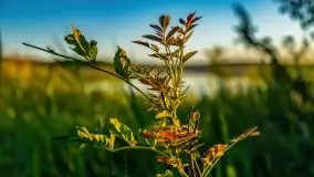 Jezioro Kirsajty o zachodzie słońca - zdjęcie 7