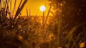 Jezioro Kirsajty o zachodzie słońca - zdjęcie 27