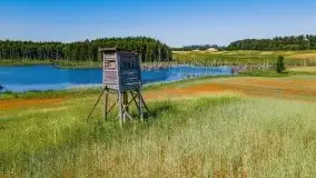 Czerwcowe Mazury, kompilacja niewykorzystanych zdjęć, 2021 - zdjęcie 34