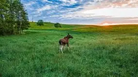 Czerwcowe Mazury, kompilacja niewykorzystanych zdjęć, 2021 - zdjęcie 24