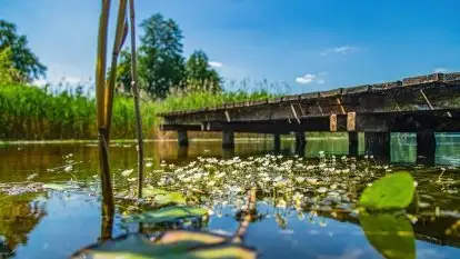 Czerwcowe Mazury, kompilacja niewykorzystanych zdjęć, 2021