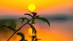 Zachód słońca nad jeziorem Kirsajty - zdjęcie 27