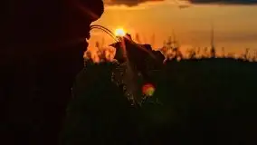 Zachód słońca nad jeziorem Dejguny, lipiec 2021 r. - zdjęcie 19