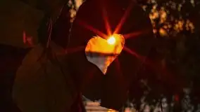 Zachód słońca nad jeziorem Dejguny, lipiec 2021 r. - zdjęcie 7