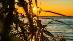 Zachód słońca w Fuledzie nad jeziorem Dobskim - zdjęcie 39