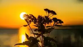 Zachód słońca w Fuledzie nad jeziorem Dobskim - zdjęcie 8