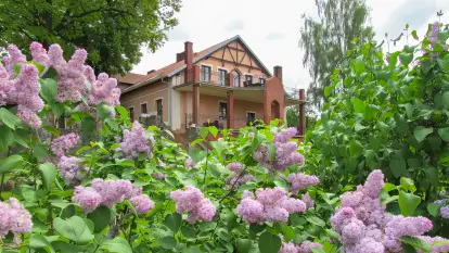 Dworek Tamara - zdjęcie 42