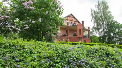 Dworek Tamara - zdjęcie 43