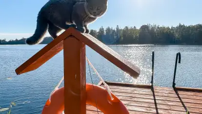 Domki Gaia - Solanka - zdjęcie 29