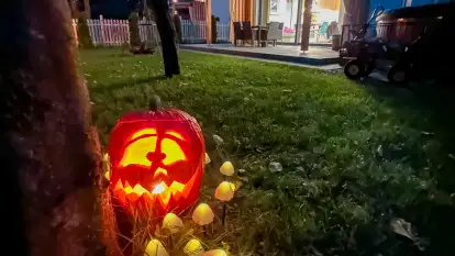 Domki Gaia - Solanka - zdjęcie 35