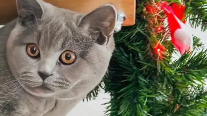 Domki Gaia - Solanka - zdjęcie 41