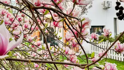 Domki Gaia - Solanka - zdjęcie 20