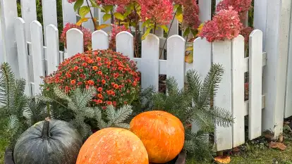 Domki Gaia - Solanka - zdjęcie 34