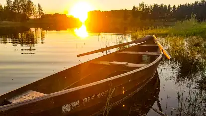 Siedlisko Konradówka - zdjęcie 25