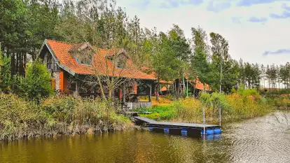 Siedlisko Konradówka - zdjęcie 6