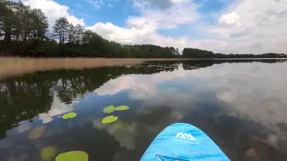 Wilk i Zając - zdjęcie 33