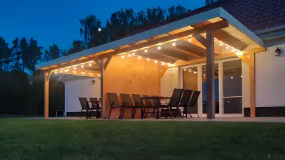 Wilk i Zając - zdjęcie 4