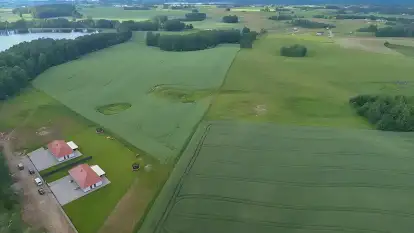 Wilk i Zając - zdjęcie 26