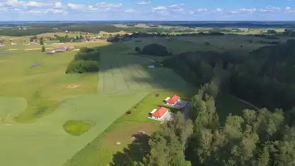 Wilk i Zając - zdjęcie 25