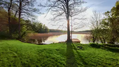 Wilk i Zając - zdjęcie 32