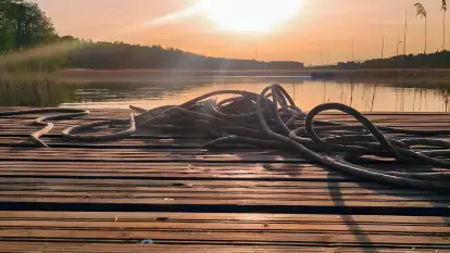 Wilk i Zając - zdjęcie 34