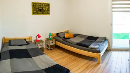 Wilk i Zając - zdjęcie 17