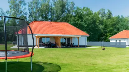 Wilk i Zając - zdjęcie 1