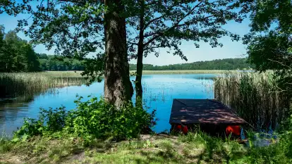 Wilk i Zając - zdjęcie 31