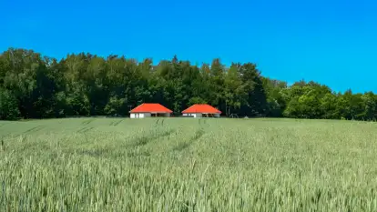 Wilk i Zając - zdjęcie 24