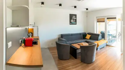 Wilk i Zając - zdjęcie 10