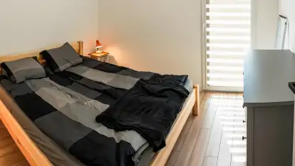 Wilk i Zając - zdjęcie 19