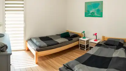 Wilk i Zając - zdjęcie 20