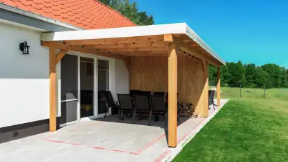 Wilk i Zając - zdjęcie 5