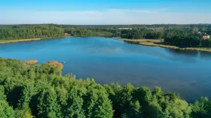 Bolek i Lolek - zdjęcie 4
