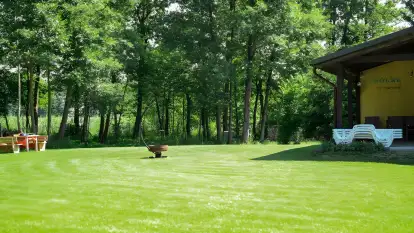 Bolek i Lolek - zdjęcie 27