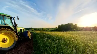 Mazurski Plon - zdjęcie 7