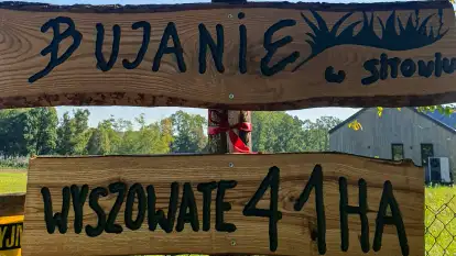 Bujanie w sitowiu - zdjęcie 37