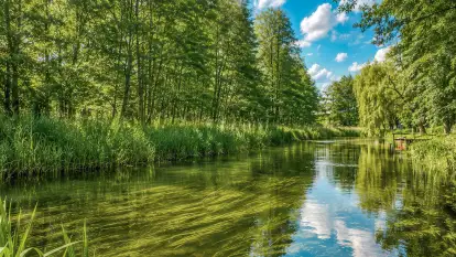Tawerna Cicha Woda Ukta - zdjęcie 12