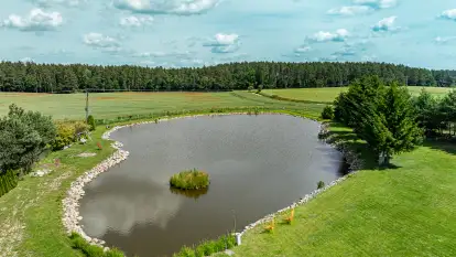 Brzozowe Siedlisko - zdjęcie 20