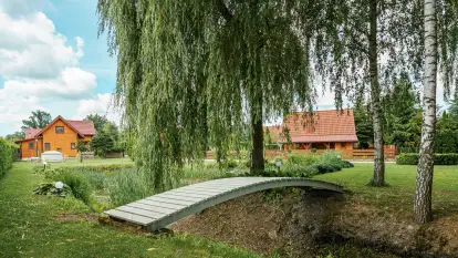 Brzozowe Siedlisko - zdjęcie 25