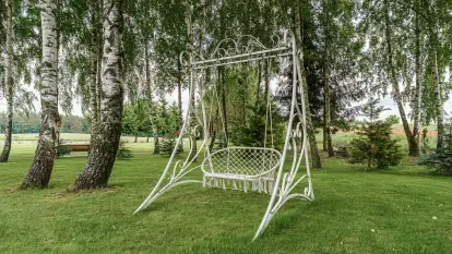 Brzozowe Siedlisko - zdjęcie 26