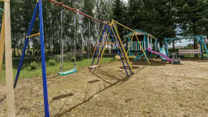 Brzozowe Siedlisko - zdjęcie 28