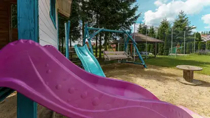 Brzozowe Siedlisko - zdjęcie 29