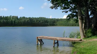 Pensjonat Pod Tulipanem  - zdjęcie 14