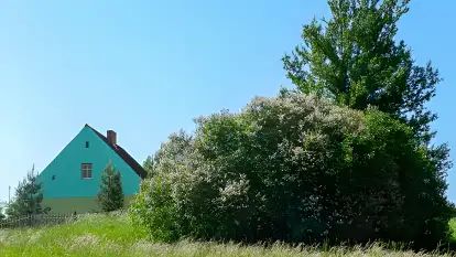 Domek na Górce - zdjęcie 5