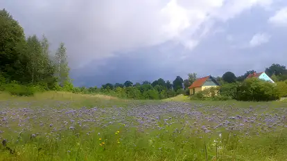 Domek na Górce - zdjęcie 6